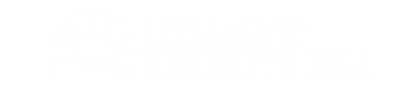 LOGO RODAPÉ